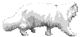 a_cat.gif (#21)